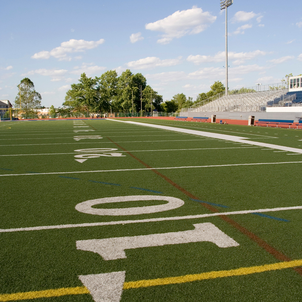 field_one field_one